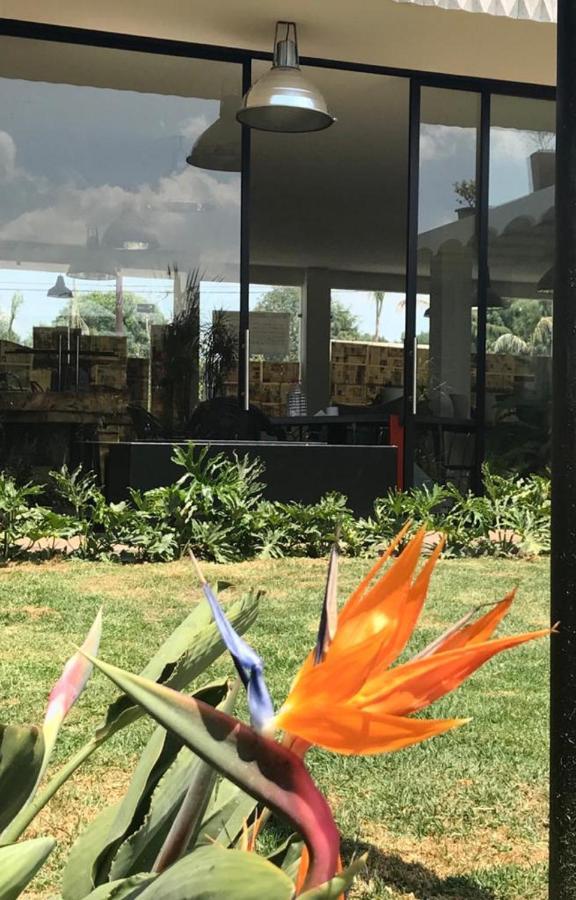 Calido Cosmos Hotel チョルーラ エクステリア 写真